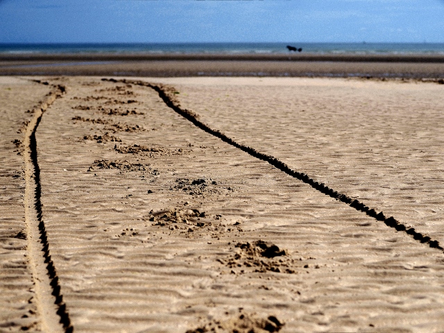 la plage à marée basse en Normandie